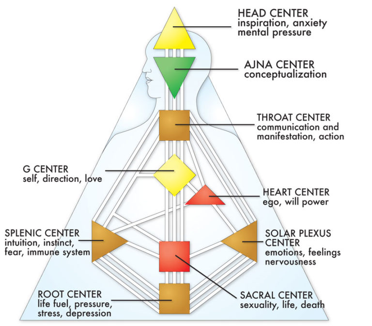 Alles over Human Design Human Design Coach